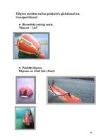 Referāts 'Baltijas jūras piesārņošana ar naftas produktiem un tās likvidācijas paņēmieni', 44.