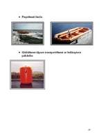 Referāts 'Baltijas jūras piesārņošana ar naftas produktiem un tās likvidācijas paņēmieni', 45.