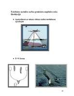 Referāts 'Baltijas jūras piesārņošana ar naftas produktiem un tās likvidācijas paņēmieni', 46.