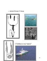 Referāts 'Baltijas jūras piesārņošana ar naftas produktiem un tās likvidācijas paņēmieni', 48.