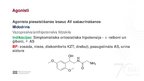 Prezentācija 'Adrenoreceptori α1, tos ietekmējošas zāles', 4.