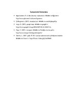 Referāts 'Praktiskais darbs sociālajā ģeogrāfijā. Sociālās grupas izpēte', 11.