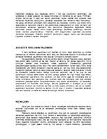 Referāts 'Reklāmas psiholoģija', 13.