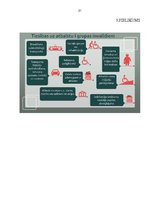 Referāts 'Cilvēki ar kustību traucējumiem - invalīdi ratiņkrēslos', 21.