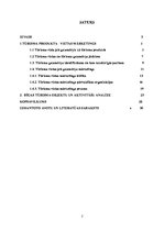 Referāts 'Rīgas tūrisma produkts un tā virzīšana starptautiskajā tirgū', 2.