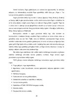 Referāts 'Rīgas tūrisma produkts un tā virzīšana starptautiskajā tirgū', 28.