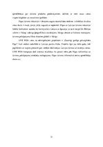 Referāts 'Rīgas tūrisma produkts un tā virzīšana starptautiskajā tirgū', 31.