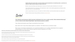 Prezentācija 'Uzņēmuma mājaslapas analīze', 8.