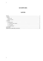 Referāts 'Tiesibu teorija', 2.