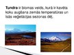 Prezentācija 'Tundra', 2.