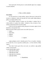 Referāts 'Latviešu senā dievestība', 7.