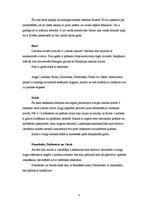 Referāts 'Lambika tipa alus', 8.