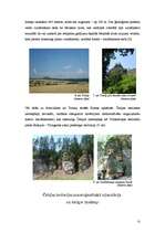 Prakses atskaite 'Viduseiropas hercīnie kalni', 12.