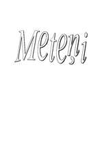 Referāts 'Meteņi', 1.