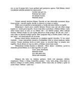 Referāts 'Meteņi', 3.