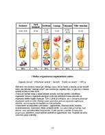 Referāts 'Veselīgs uzturs', 16.