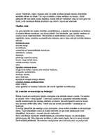 Referāts 'Veselīgs uzturs', 21.