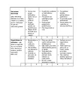 Konspekts 'Septiņi kritēriji jeb kompetences uzņēmuma X vadītāja amatam', 4.