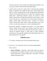 Konspekts 'Septiņi kritēriji jeb kompetences uzņēmuma X vadītāja amatam', 6.