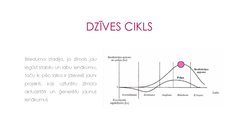 Prezentācija 'Inovatīvas sadarbības komunikācijas analīze: BALMAIN X BARBIE', 6.