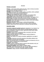 Konspekts 'Koloniālisma laikmets un ASV izveidošanās', 1.