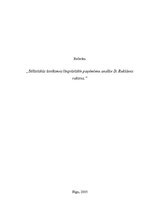 Referāts 'Stilistiskās izteiksmes lingvistisko paņēmienu analīze Daces Rukšānes rakstos', 1.