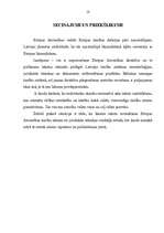 Referāts 'Juridiskā tehnika tiesību jaunrades procesā', 18.