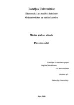 Prakses atskaite 'Finanšu analīze SIA "X"', 1.