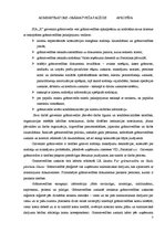 Prakses atskaite 'Finanšu analīze SIA "X"', 7.