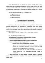 Prakses atskaite 'Finanšu analīze SIA "X"', 10.