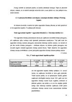 Prakses atskaite 'Finanšu analīze SIA "X"', 20.