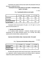 Prakses atskaite 'Finanšu analīze SIA "X"', 28.