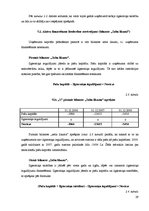 Prakses atskaite 'Finanšu analīze SIA "X"', 29.