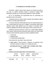 Prakses atskaite 'Finanšu analīze SIA "X"', 35.