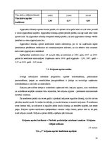 Prakses atskaite 'Finanšu analīze SIA "X"', 38.