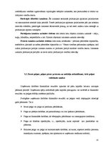 Prakses atskaite 'Finanšu analīze SIA "X"', 45.