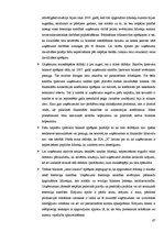 Prakses atskaite 'Finanšu analīze SIA "X"', 67.