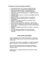 Referāts 'Sociālās ārstēšanas plāns bērnam, kurš cieš no vardarbības ģimenē', 4.