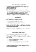 Referāts 'Sociālās ārstēšanas plāns bērnam, kurš cieš no vardarbības ģimenē', 5.