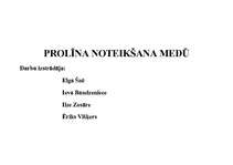 Konspekts 'Prolīna noteikšana medū', 1.