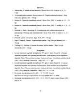 Referāts 'Tiesu neatkarības un lietu izskatīšanas pamatprincipi Latvijā', 33.