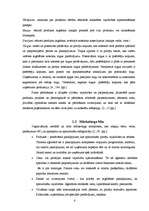 Referāts 'Tūrisma aģentūras "Rīgas tūristi" mārketinga darbības analīze', 6.