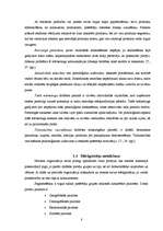 Referāts 'Tūrisma aģentūras "Rīgas tūristi" mārketinga darbības analīze', 8.