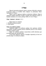 Referāts 'Bilances posteņu analīze', 38.