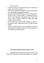 Referāts 'Didaktiskās spēles izmantošana pedagoģiskajā procesā', 8.