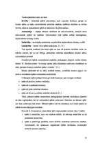 Referāts 'Didaktiskās spēles izmantošana pedagoģiskajā procesā', 20.