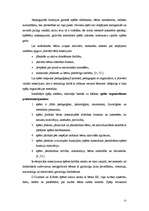 Referāts 'Didaktiskās spēles izmantošana pedagoģiskajā procesā', 25.