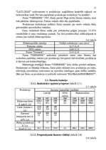 Referāts 'Ražošanas un pakalpojumu sniegšanas uzņēmumu galveno funkciju raksturojums un sa', 21.