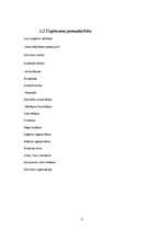 Biznesa plāns 'SIA "Pepe" biznesa plāns', 3.