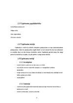 Biznesa plāns 'SIA "Pepe" biznesa plāns', 4.